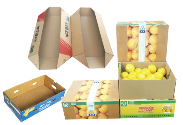 product-600-411 product-600-411